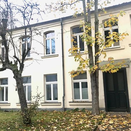 Wohlfuehl-Oase Mitten In Der Stadt - Garten, Grill, Netflix Und Drucker Apartment Leipzig Exterior photo